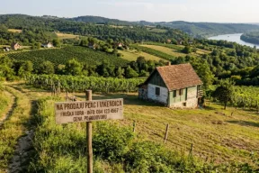 Moderna vikendica na Fruškoj gori