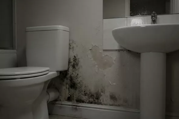 Provera stana pre iznajmljivanja